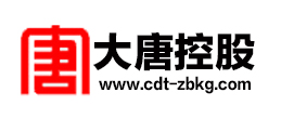大唐控股